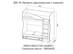 ДМ-16 Кровать двухъярусная с ящиком в Верхней Пышме - verhnyaya-pyshma.магазин96.com | фото