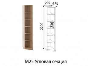 М25 Угловая секция в Верхней Пышме - verhnyaya-pyshma.магазин96.com | фото