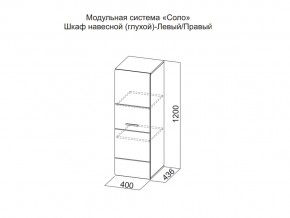 Шкаф навесной (глухой) Левый в Верхней Пышме - verhnyaya-pyshma.магазин96.com | фото