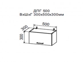 Шкаф верхний ДПГ500 горизонтальный в Верхней Пышме - verhnyaya-pyshma.магазин96.com | фото
