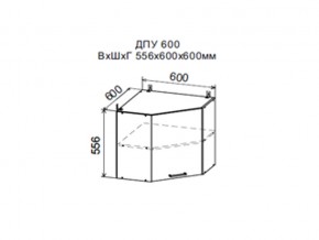 Шкаф верхний ДПУ600 угловой в Верхней Пышме - verhnyaya-pyshma.магазин96.com | фото